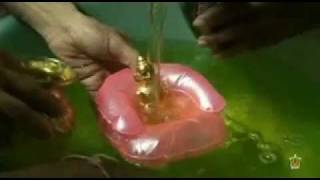 Quicksand Surfer - Kapitan Korsakov