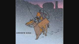 The Water Jet Cilice by Andrew Bird