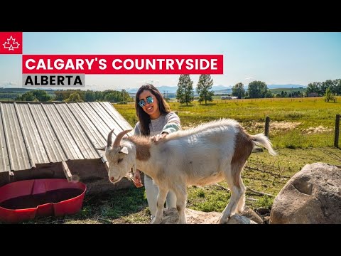 THE ALBERTA FOOTHILLS  (cute western towns) - Exploring Calgary's Hidden Gems Part 2