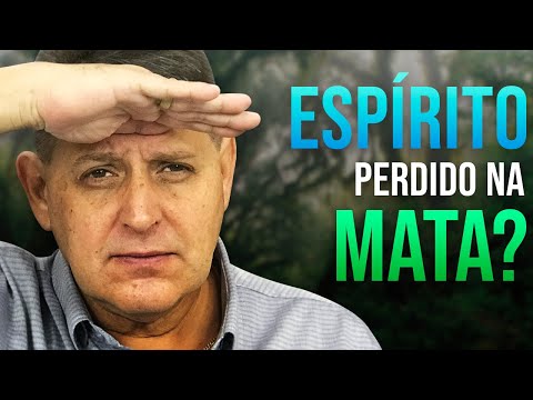 PTD nº 452 - Sonho com o espírito perdido na mata, do acidente com avião.