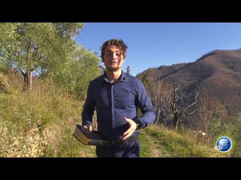 Il Buongiorno si vede dalla Bibbia 01 02 2018