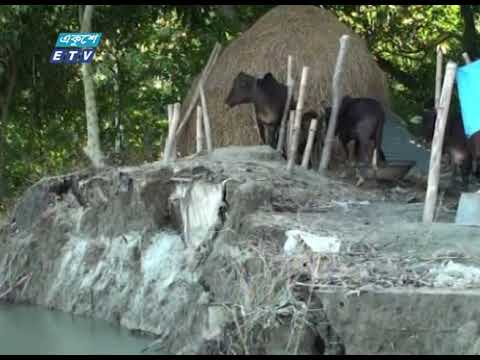 এখনও পানিবন্দী জামালপুরসহ কয়েকটি জেলার মানুষ