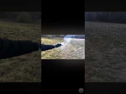 Petardo DumBum 2G Klasek #fireworks #petardi #pyro #botti #capodanno #klasek #dumbum