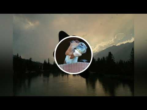 BEAT DO DOLLY VERSÃO GRAVE-MC W1 & MC Rafa 22 (Dj Guina)