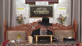 הרב בן ציון מוצפי הילולת משה רבנו ע＂ה אדון הנביאים ומעלת ימי הפורים אדר תשפ＂ו (רבנים שונים) - התמונה מוצגת ישירות מתוך אתר האינטרנט יוטיוב. זכויות היוצרים בתמונה שייכות ליוצרה. קישור קרדיט למקור התוכן נמצא בתוך דף הסרטון