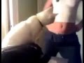 Ass Shaking
