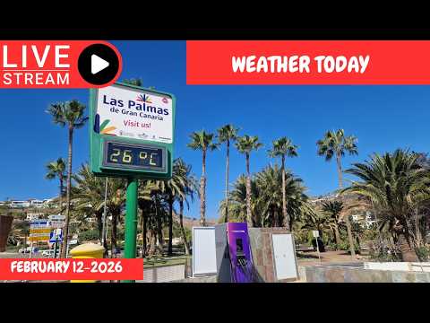 Gran Canaria LIVE 🔴WEATHER  TODAY - FEBRUARY 12-2026