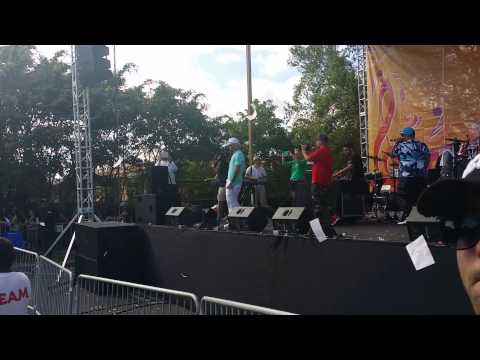 FARRUKO carnaval calle 8 2014