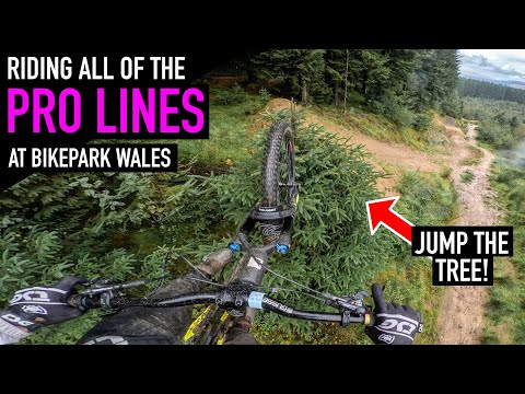 RIDING EVERY PRO TRAIL AT BIKE PARK WALES!!