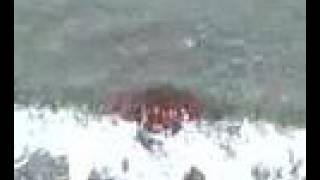 preview picture of video 'Jellyfish at Kamena Vourla - May 20, 2008, 07:40 AM'