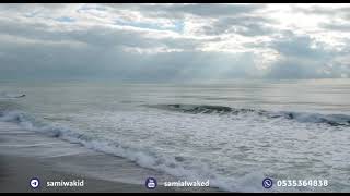 صامت يوم الجمعة || فتاوى عامة || د. سامي الواكد image