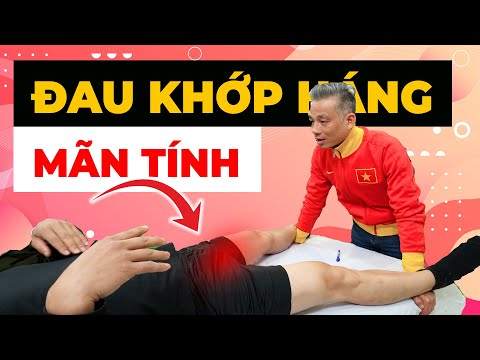 Đau Háng Mãn Tính – Cơn Đau Âm Ỉ Tàn Phá Cơ Thể Bạn Mỗi Ngày