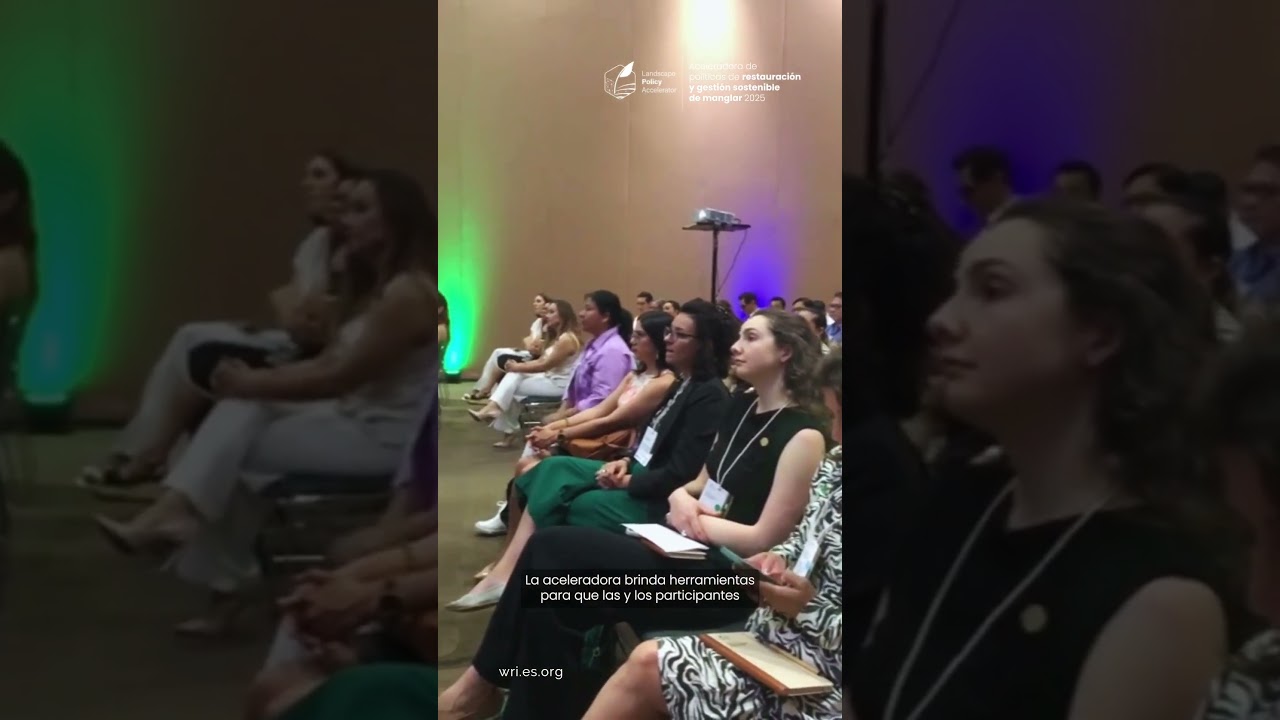 Aceleradora de Políticas de Restauración y Gestión Sostenible de Manglar.