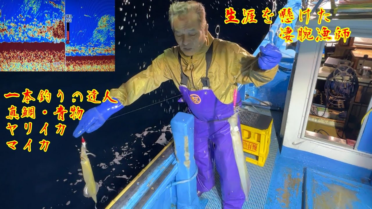 【達人】伝統的ヤリイカの一本釣り【心海丸】