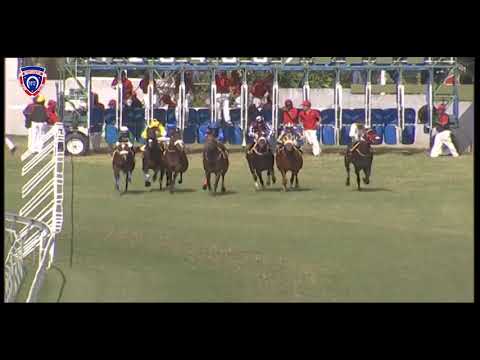 RM15 R4 | Edge Of The Sun | C.Gomez