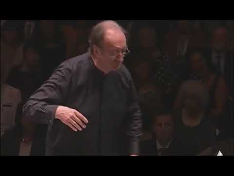 Die Moldau 1  Abschnitt