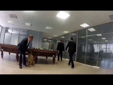 Miyagi feat. HLOY - Try (Official Video)