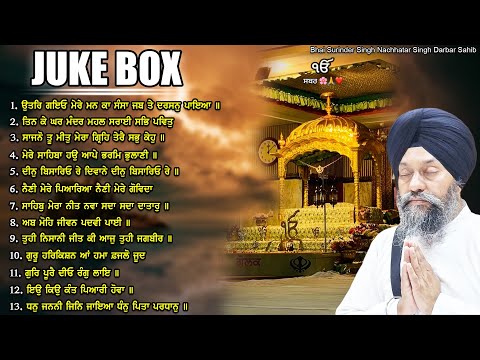 Juke Box | Gurbani Shabad | Beautiful Shabads | Bhai Surinder Singh Bhai Nachhtar Singh Darbar Sahib