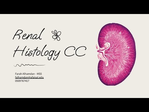 Renal Histology CC | Farah Alhamdan | REN 123