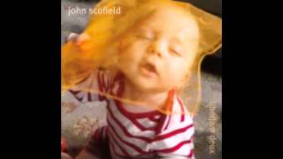 John Scofield  2013  (  endless summer )