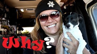 Why Boondocking With Other Can Be Fun! Silly Al's Pizza & Live Music