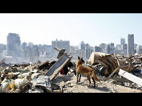 Schwierige Suche nach Überlebenden in Beirut - Noch immer rund 100 Vermisste
