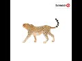 Schleich figūrėlė Gepardė
