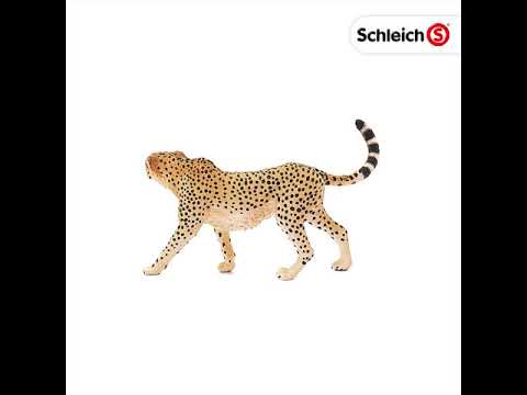 Schleich figūrėlė Gepardė video