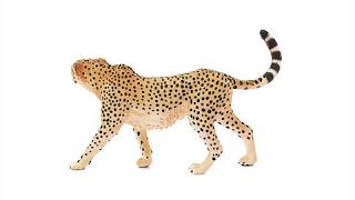 Schleich Gepard samica