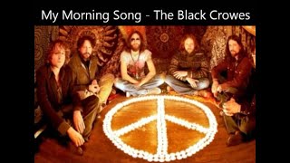 My Morning Song by Feathers a Nashville Black Crowes tribute Band Southern Harmony