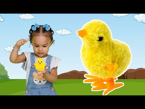 Meu Pintinho amarelinho Música infantil