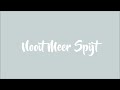 S10 & Froukje - Nooit Meer Spijt (Lyrics)