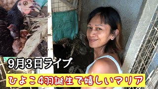 9月3日ライブ フィリピン・パラワン島から