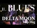 Delta Moon - Lap Dog - Il Blues Magazine