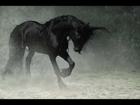 Enrique Iglesia- Push