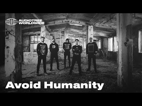 Avoid Humanity Live at Dracula's Castle (Bran Castle) | Audiotree Worldwide