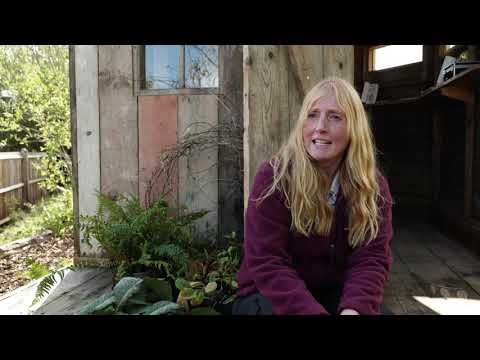 A Rewilding Britain Landscape: Episode 2