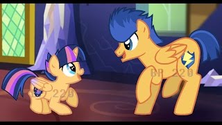 My Little Pony (My Next Gen ~Old Version~) Tribute
