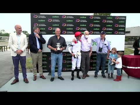 211102 c06 - NEW HONOUR - HIPODROMO LAS PIEDRAS - CLÁSICO 84° ANIVERSARIO DEL HIPÓDROMO LAS PIEDRAS