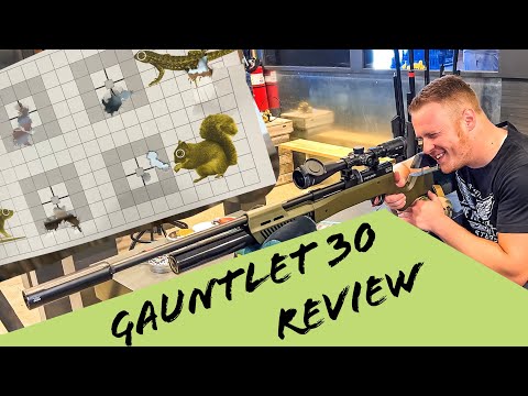 NEW Umarex Gauntlet 30 VS The Original Gauntlet! (Plus How Powerful The 30 Cal Really Is)