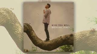 Brendan James - Wish You Well (official audio)