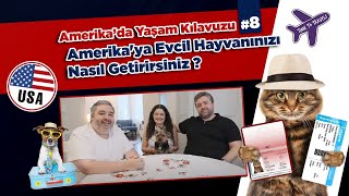 Amerika'ya Evcil Hayvanınızı Nasıl Getirirsiniz ? | Amerika'da Yaşam Kılavuzu #8