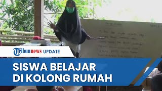 Tak Punya Ruang Kelas, Siswa SD Ini Terpaksa Belajar Tatap Muka di Kolong Rumah Dekat Kandang Ayam
