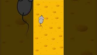 Download lagu Game For Your Cat 😻 mp3 Download lagu Game For Your Cat 😻 mp3