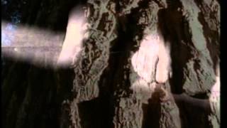 Pequeño rayo de Sol