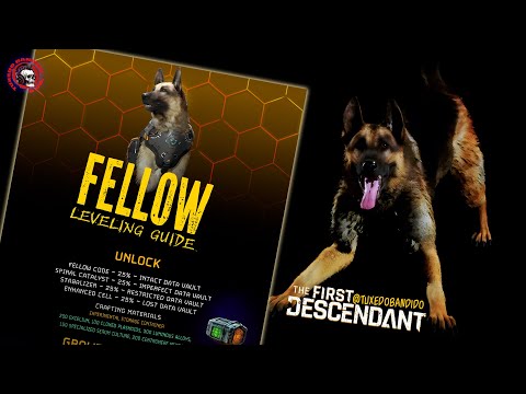 Guide: Unlocking & Leveling Your Fellow in The First Descendant!