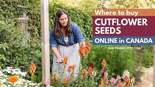 Where to Buy Cut Flower Seed Online