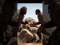 1 1 Million Years Ago Life Homoerectus Neanderthal Hominid Prehistory Stoneage