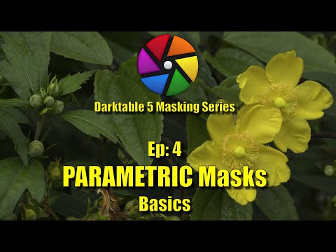 Darktable Ultimate Guide to Masking: Ep 4 - Parametric Masking Basics
