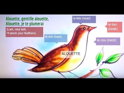 Alouette - French Lyrics with English Translation